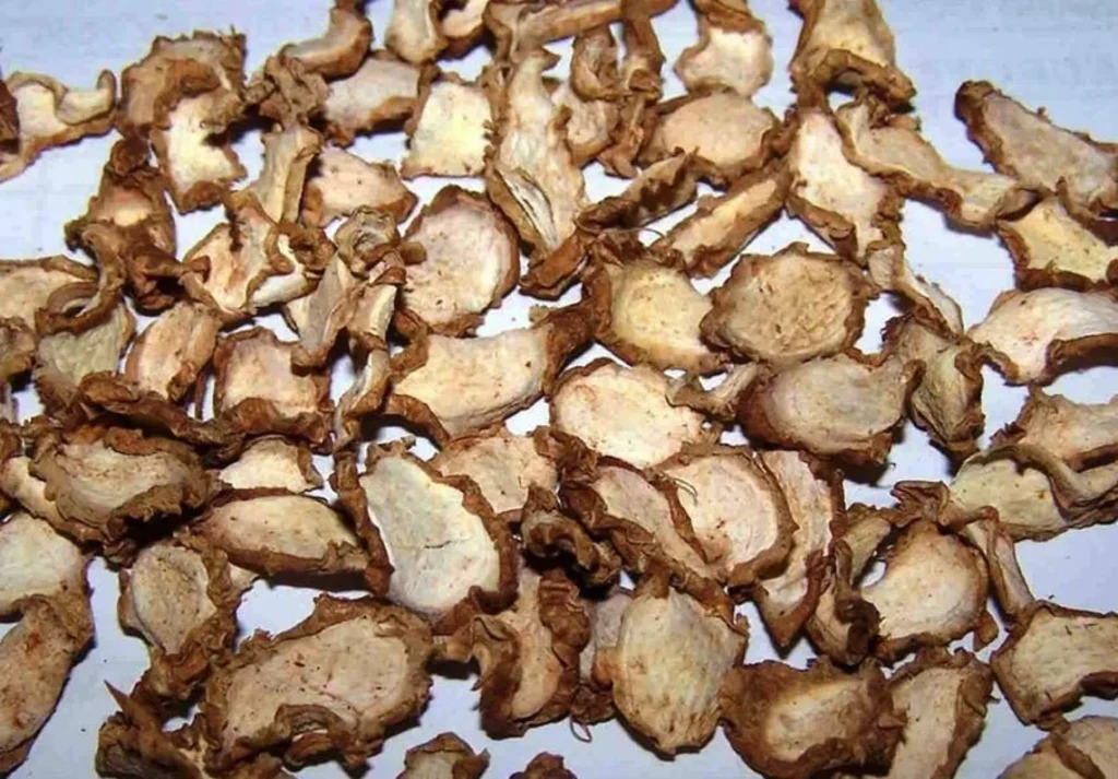 Dried KAEMPFERIA GALANGA