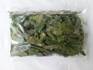 Dried Mella (Malla) Leaves – Olax Zeylanica